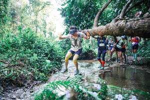 BIB: 
                            <button type="button" onclick="openModal(25445626)" class="btn btn-primary btn-sm float-right btn-popup" data-toggle="modal" data-target=".modal-high-quality">
                        <i class="fas fa-shopping-cart"></i> Add to Cart
                    </button>
                                            <button type="button" onclick="isThisMe(25445626, true)" class="btn btn-success btn-sm float-right btn-popup btn-isme hidden" data-toggle="tooltip" data-placement="bottom" title="นี่คือรูปของคุณใช่ไหม คลิกที่นี่เพื่อเอาเข้าอัลบั้ม">
                        <i class="fas fa-plus"></i> Add to album
                    </button>
                    <button type="button" onclick="isThisMe(25445626, false)" class="btn btn-warning btn-sm float-right btn-popup btn-isnotme hidden">
                        <i class="fas fa-ban"></i> Remove from album
                    </button>